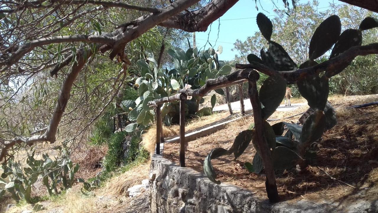 Sifis Pirounakis Anatoli Βίλα Λέντας Εξωτερικό φωτογραφία